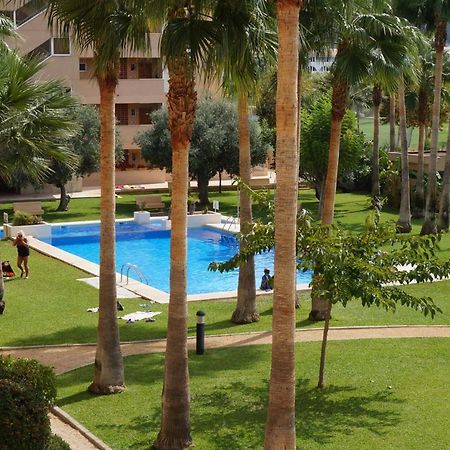 Apartamento Alcoy El Albir Ngoại thất bức ảnh